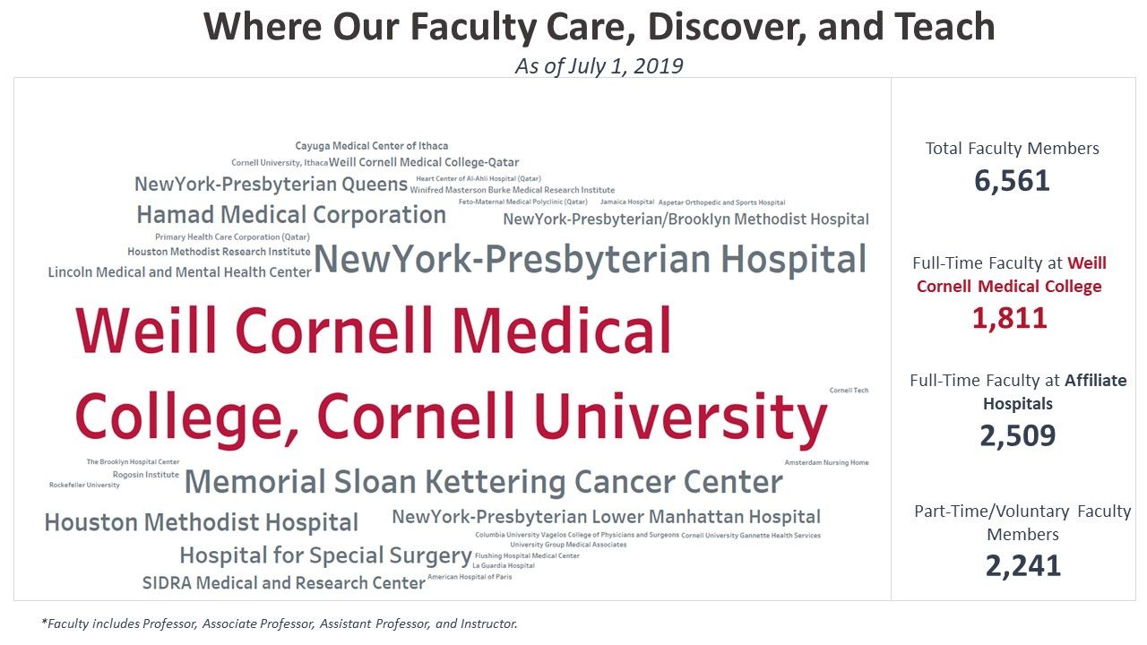 Phd dissertation picture