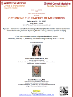 Optimizing Mentoring