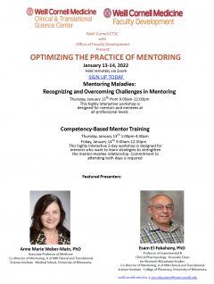 OPTIMIZING THE PRACTICE OF MENTORING 2022